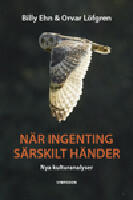N&auml;r ingenting s&auml;rskilt h&auml;nder : nya kulturanalyser
