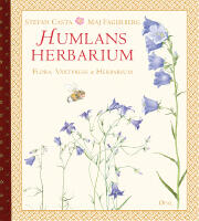 Humlans herbarium : flora, v&auml;xtpress och herbarium