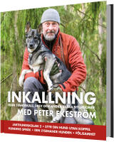 Inkallning : fr&aring;n st&aring;ndskall, drev och andra sv&aring;ra situationer