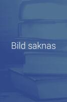 Specialstraffr&auml;tten : en kommentar