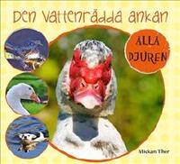 Den vattenr&auml;dda ankan
