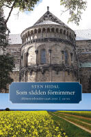 Som s&aring;dden f&ouml;rnimmer : minnen och m&ouml;ten 1946-2020