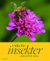 Odla f&ouml;r insekter