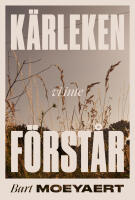 K&auml;rleken vi inte f&ouml;rst&aring;r