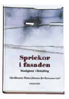 Sprickor i fasaden : manligheter i f&ouml;r&auml;ndring : en antologi
