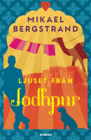 Ljuset fr&aring;n Jodhpur