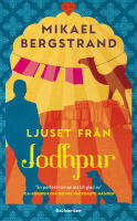 Ljuset fr&aring;n Jodhpur