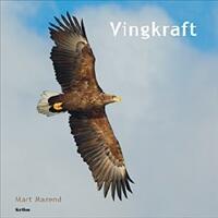 Vingkraft