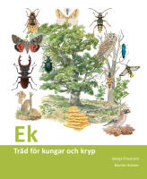 Ek : tr&auml;d f&ouml;r kungar och kryp