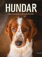 Hundar