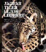 Jaguar, tiger, lejon, leopard : m&ouml;ten med de fyra stora kattdjuren