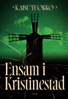 Ensam i Kristinestad