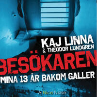 Bes&ouml;karen : mina 13 &aring;r bakom galler