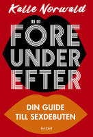 F&ouml;re under efter : Din guide till sexdebuten