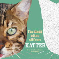 F&auml;rgl&auml;gg efter siffror: Katter
