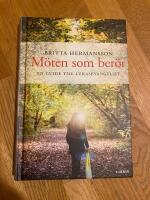 M&ouml;ten som ber&ouml;r : en guide till Lukasevangeliet