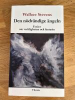 Den n&ouml;dv&auml;ndige &auml;ngeln : ess&auml;er om verkligheten och fantasin