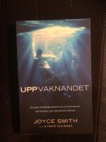 Uppvaknandet : En sann mirakelber&auml;ttelse om en kvinnas tro och hennes sons &aring;terkomst till livet