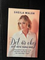 Det &auml;r okej att inte vara okej : gud m&ouml;ter oss d&auml;r vi &auml;r och l&aring;ter oss b&ouml;rja om - ett litet steg i taget