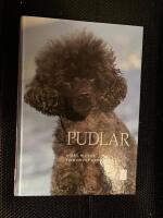 Pudlar