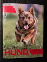 Hund