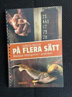 P&aring; flera s&auml;tt - multipla intelligenser i praktiken