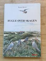 Fugle over Skagen  