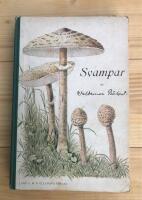 Svampar f&ouml;r hem och skola 