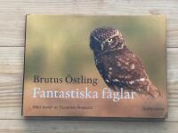 Fantastiska f&aring;glar