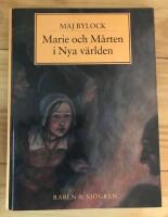 Vallonserien Bok 5 : Marie och M&aring;rten i Nya v&auml;rlden