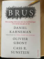 Brus - Felet som st&ouml;r v&aring;rt omd&ouml;me