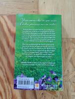 Konsten att bli en viol