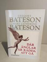 D&auml;r &auml;nglar &auml;r r&auml;dda att g&aring;. Bidrag till en epistemologi f&ouml;r det heliga