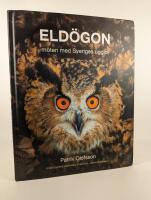 Eld&ouml;gon &ndash; m&ouml;ten med Sveriges ugglor