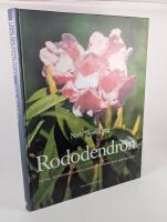 Rododendron. Arter, hybrider, samplanteringsv&auml;xter och sk&ouml;tselr&aring;d