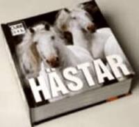 Hästar Cube Book