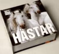 Hästar  Cube Book