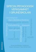 Specialpedagogisk verksamhet i grundskolan