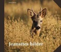 Jeanettes bilder : v&aring;r, sommar, h&ouml;st och vinter