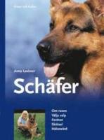 Sch&auml;fer