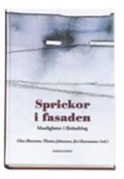 Sprickor i fasaden : manligheter i f&ouml;r&auml;ndring : en antologi