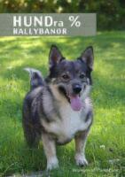HUNDra % Rallybanor