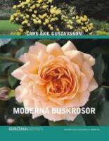 Moderna buskrosor