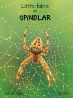 L&auml;tta fakta om spindlar