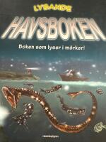 Lysande havsboken : boken som lyser i m&ouml;rker!