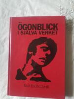 &Ouml;gonblick i sj&auml;lva verket