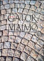 Gator i Malm&ouml; : gator, parker och stadsdelar i Malm&ouml; fr&aring;n 1300-talet till v&aring;r tid