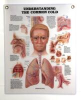 Understanding the common cold