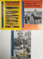 Sk&aring;nsk Idrotts Historia nr 1 - 4  &aring;r 2000