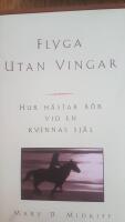 Flyga utan vingar